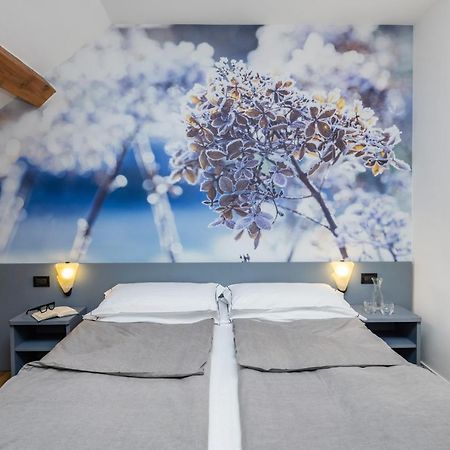 Pippo Hotel Terzolas Екстериор снимка
